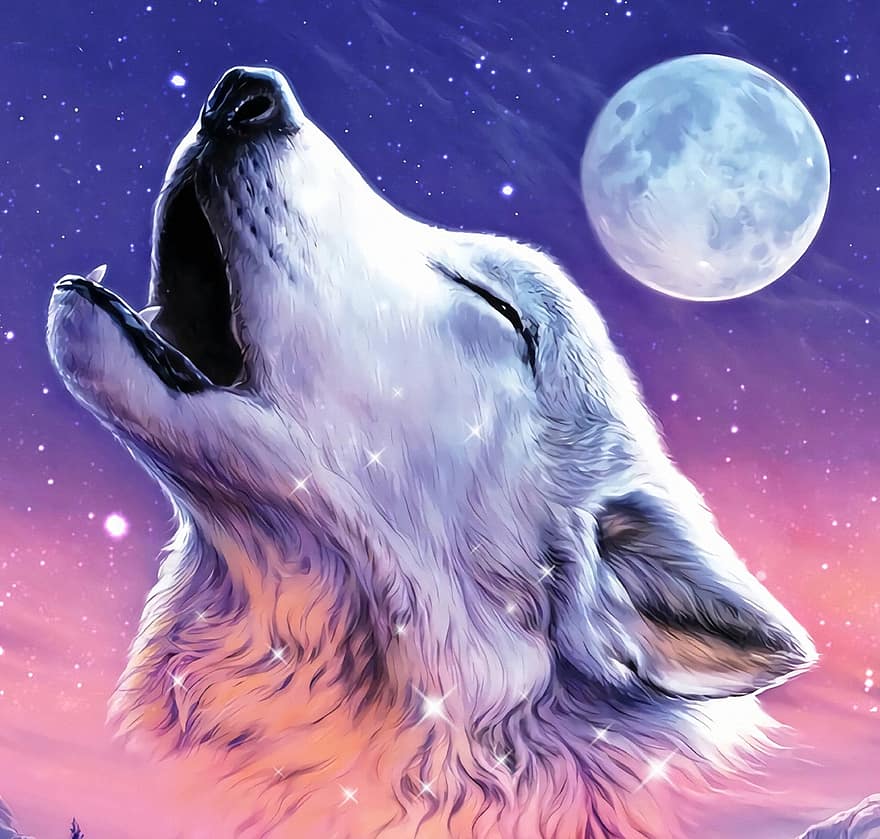 волк, животное, Луна, милый, прохладно