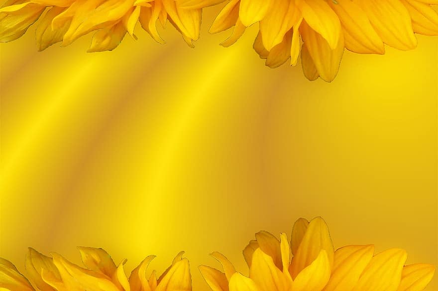 fonas, geltona, gėlių, struktūrą, geltonos gėlės, gėlių žiedlapiai