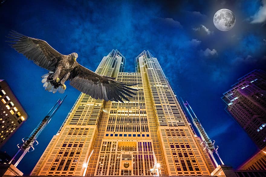 burung rajawali, bangunan, photomontage, malam, bulan, bulan purnama, lampu, Arsitektur, menara, gedung pencakar langit, modern