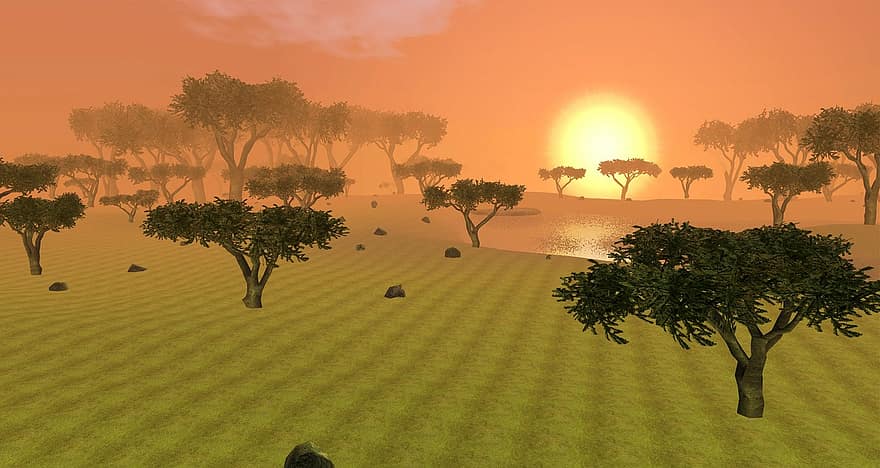 Tree, Field, Nature, Trees, Africa, Sky, Sunrise, Sunset