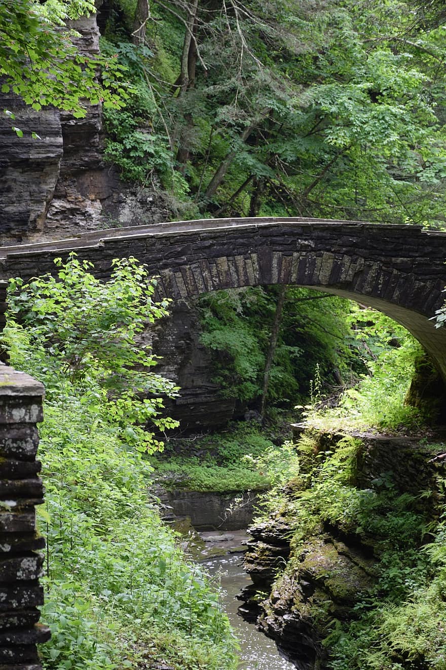 jembatan, alam, perjalanan, eksplorasi, di luar rumah, jembatan batu, pejalan kaki, hutan, Taman Nasional, Amerika Serikat, pemandangan