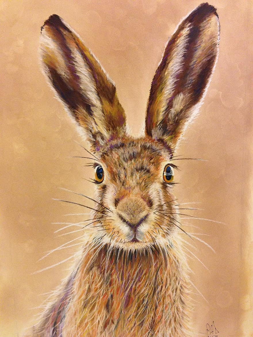tavşan, pastel kalemler, artistik, pastel, çizim, hayvan, sanat eseri, Turuncu Hayvanlar
