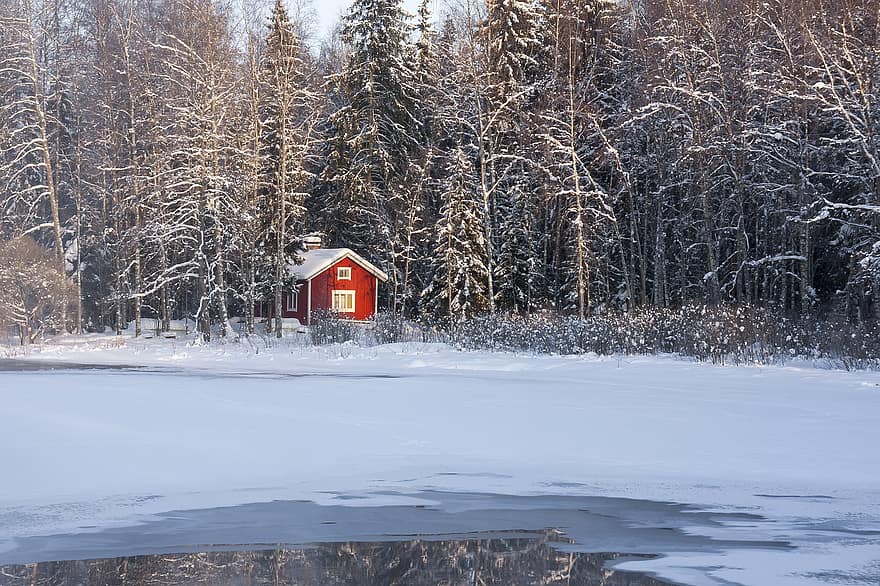 sauna, Cottage, inverno, paesaggio, fiume, la neve, foresta, alberi, albero, stagione, brina