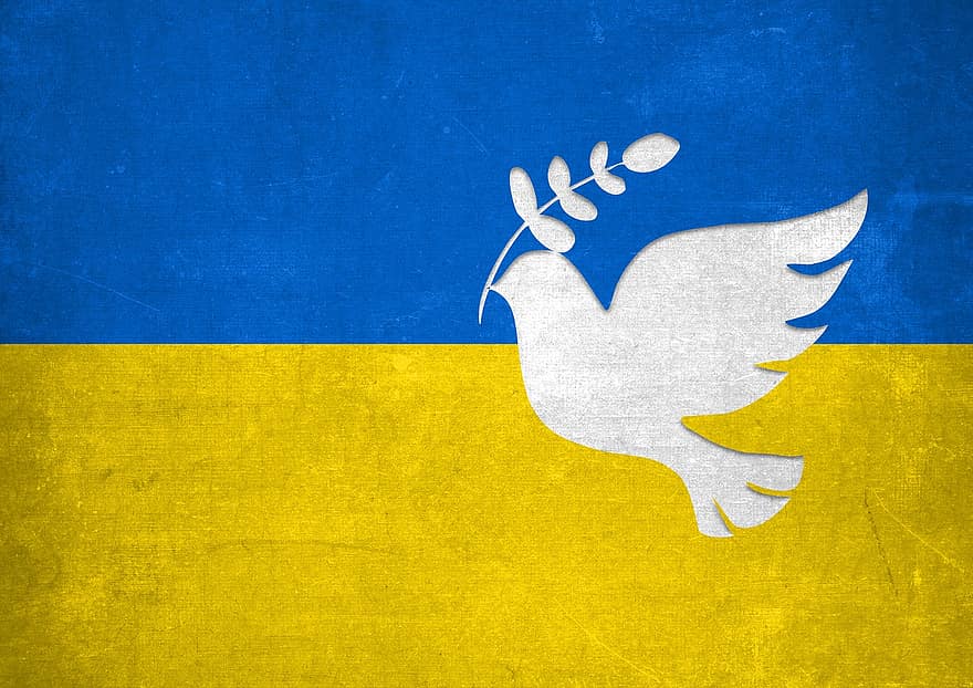 galamb, Ukrajna, szimbólum, béke, háború, zászló, nemzet, háttérrel, ábra, repülő, hazaszeretet