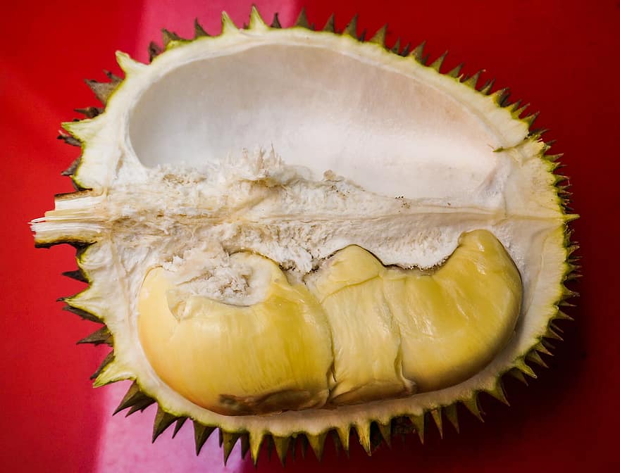 durian, gyümölcs, élelmiszer, friss, egészséges, érett, organikus, édes, gyárt, aratás, mezőgazdaság