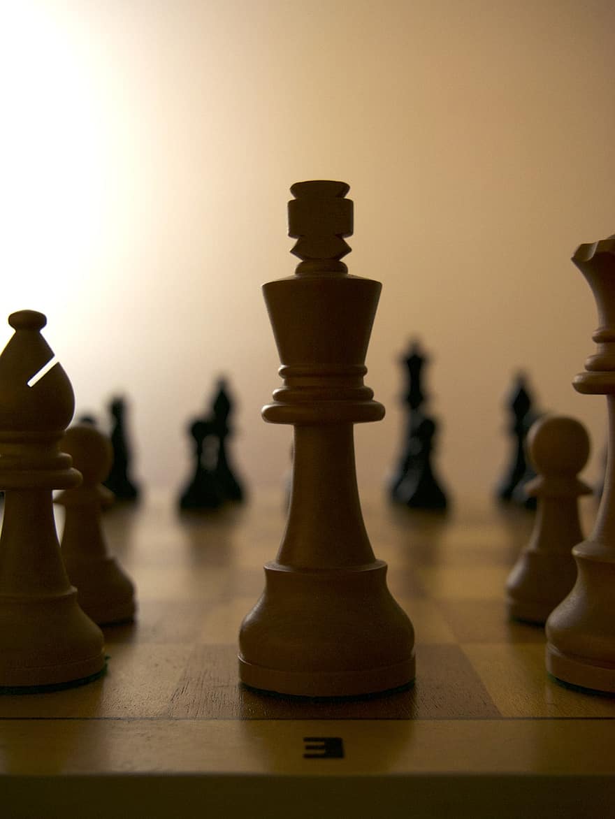 šachy, zemědělec, věž, kůň, springer, běžec, dáma, král, strategie, šachové figurky, strategická hra