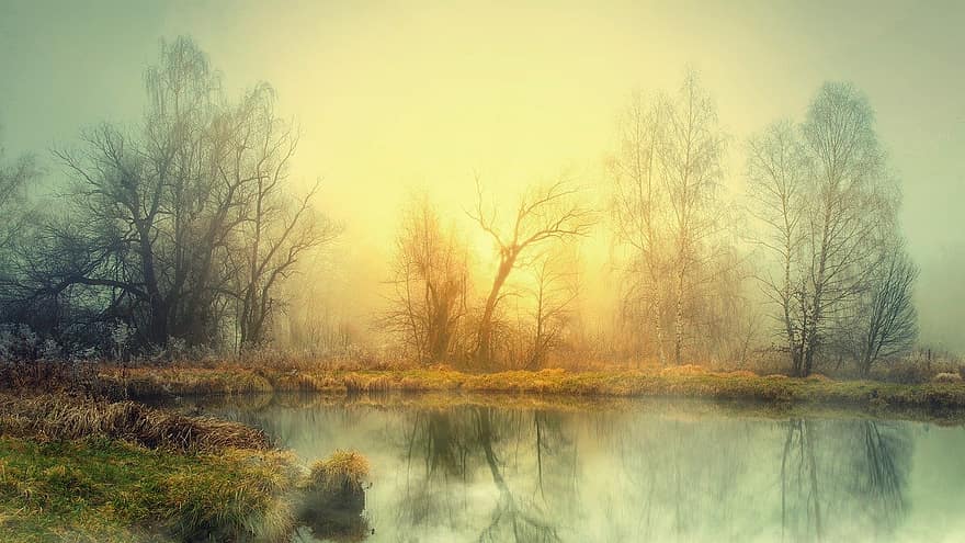 Lac, brouillard, le coucher du soleil, la nature, des arbres, forêt, eau, réflexion, brumeux, hiver, du froid