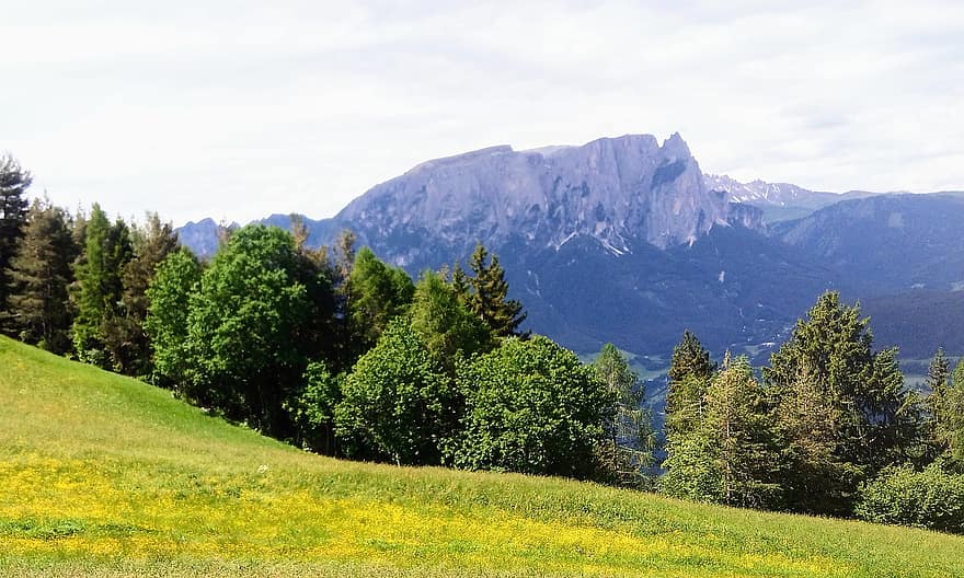 Ritten Renon, South-tirol, Nature, Maria Saal, Landscape, Panorama, Mountains, Learn, mountain, meadow, grass