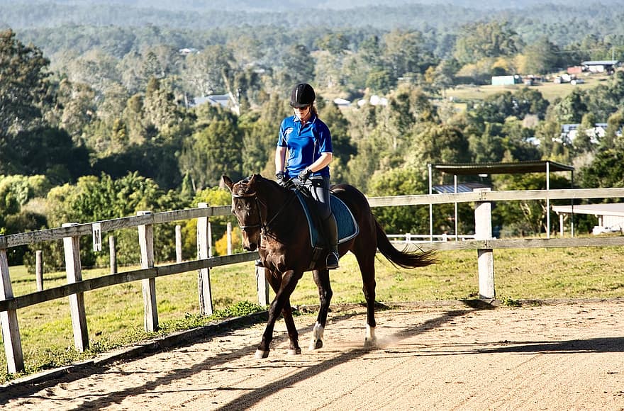 Rider, Horse, Dressage, Equestrian, Competition, Riding