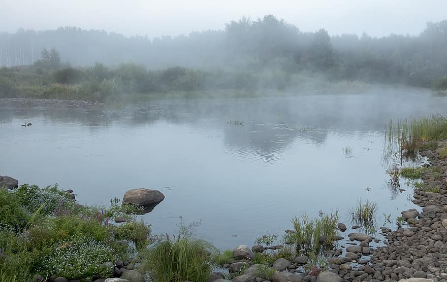 湖、袖、ベイ、霧、水、朝の霧、朝