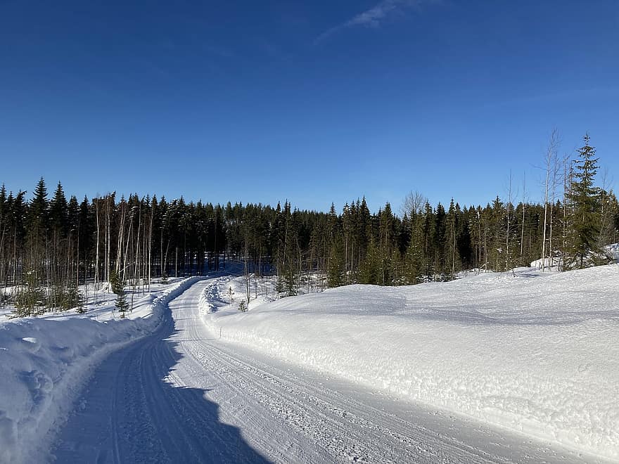 снег, зимний пейзаж, снежный пейзаж, Финляндия, холодно, зима, синее небо, природа, замороженный, мороз, лес