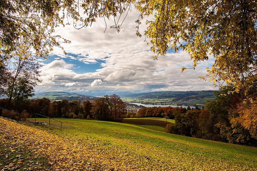 prato, paesaggio, campagna, in riva al lago, campo, scenario, panoramico, idilliaco, autunno, natura, aargau