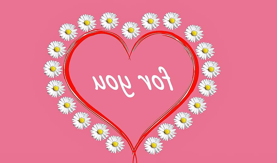 fleurs, cœur, amour, Marguerite, fond rose, printemps, la nature, romance, salutation, fête des mères, La Saint Valentin