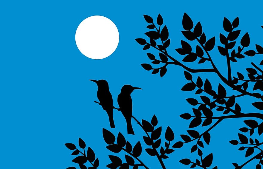 ocells, lluna, arbre, parella, silueta, branca, dibuix, bonic, targeta, assegut, animal