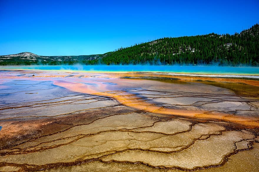 Yellowstone, bassin, source chaude, minéraux, coloré, chaleur, vapeur