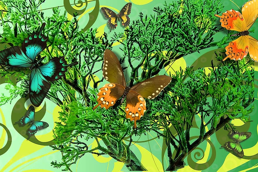 achtergrond, boom, vlinder, ontwerp, groen, veganistisch