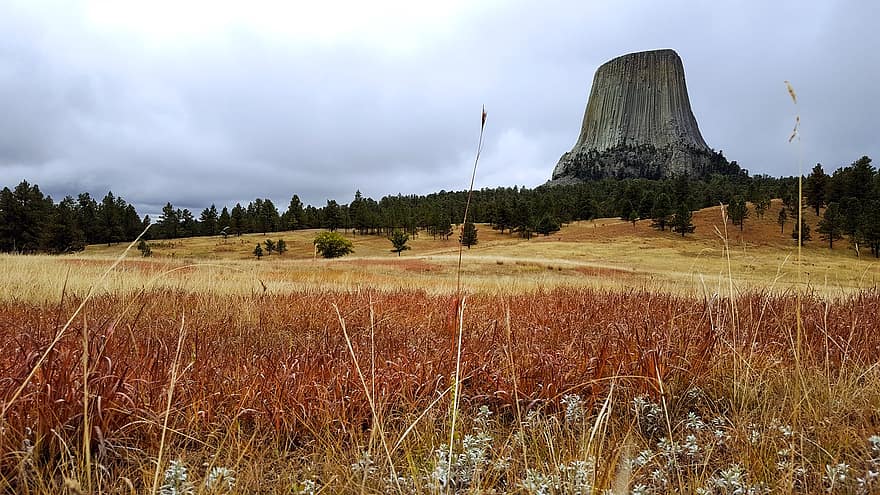 duivels toren, landschap, Nationaal Monument, Wyoming, grasland, toneel-, natuur, de duiveltoren van Wyoming, berg-, Amerika, rots