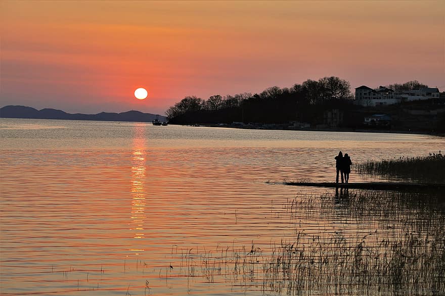 lago, tramonto, sole, silhouette, luce del sole, cielo arancione, riflessione, acqua, banca, canna, crepuscolo
