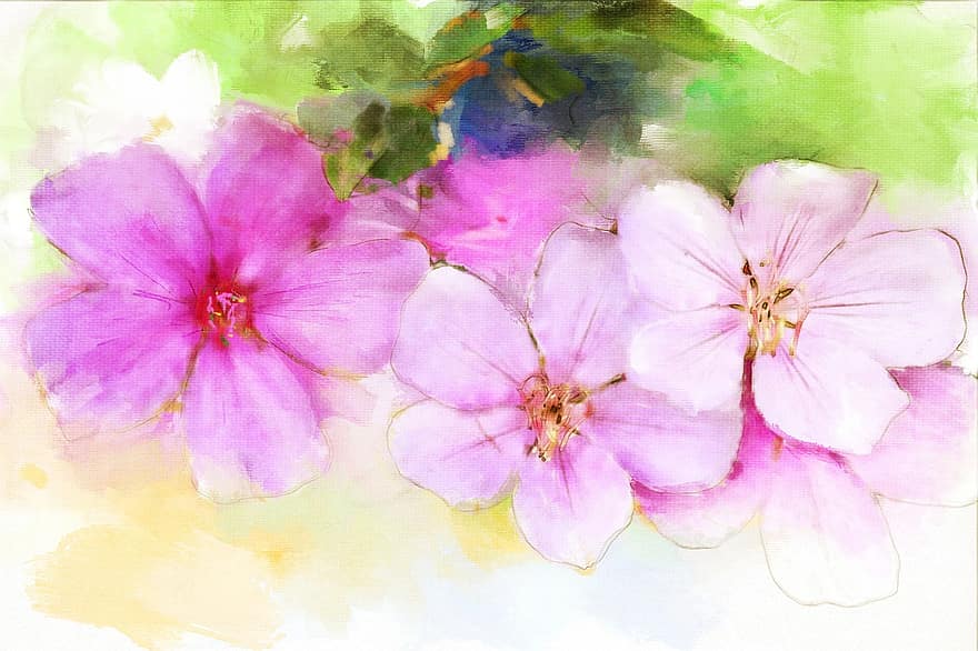 måla, blomma, blommig, vår, natur, växt, naturlig, målning, vattenfärg, rosa, kronblad