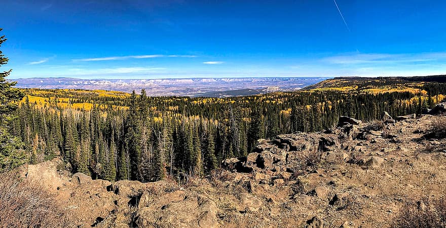 Grand Mesa, kalno viršūnė, medžiai, pobūdį, ruduo, kraštovaizdį, miškas, medis, kalnas, geltona, kaimo scenoje