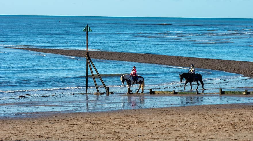 caballos, mar, arena, cielo, playa, costa, línea costera, apuntalar, orilla, Playa de arena, equinos
