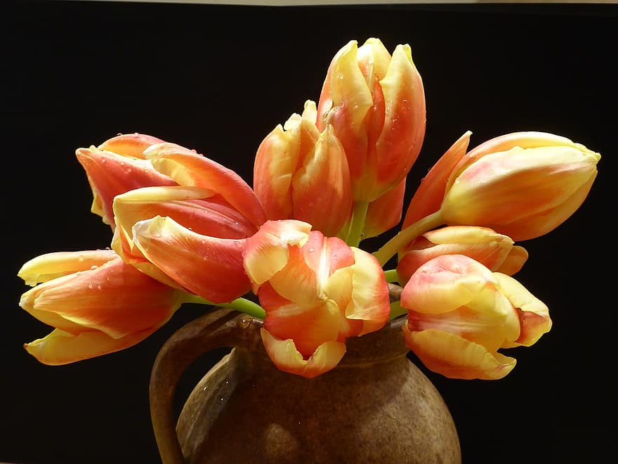pavasaris, tulpių puokštė, supjaustytos gėlės, lašiša, geltona, gėlių vaza
