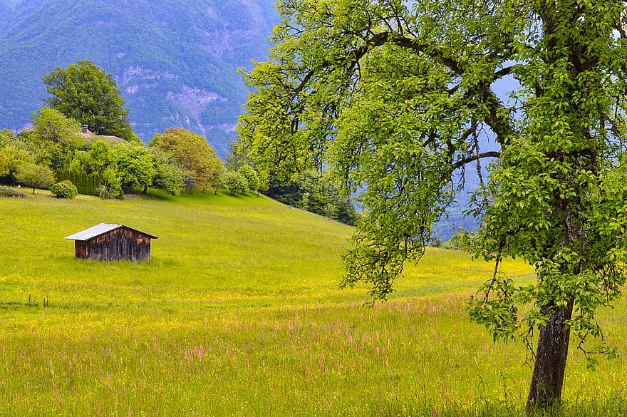 Hütte, Berg, Felder, Natur