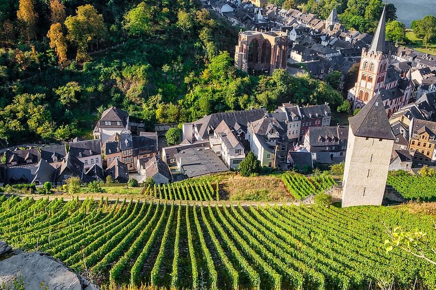 Bacharach, Town, Vineyards, Rhine Valley, Houses, Church, Tower, City, Viticulture, Winegrowing, Mountain