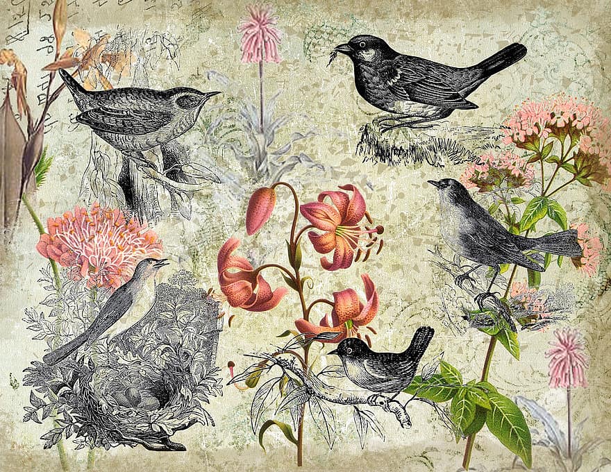 bloc de notes, ocells, floral, botànic, niu, fons