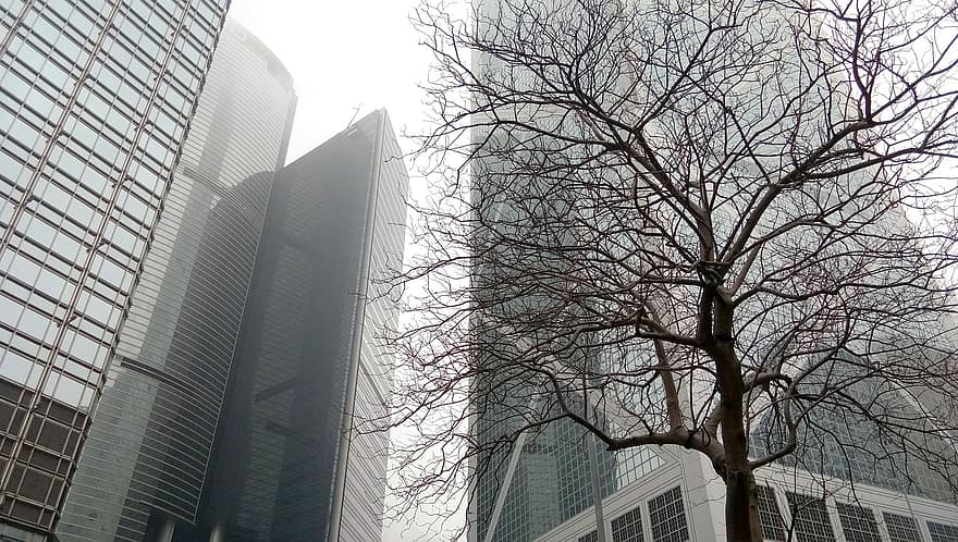 Building, Architecture, Hong Kong, Urban, Condo, House, Modern, Home, City, Structure, Tree