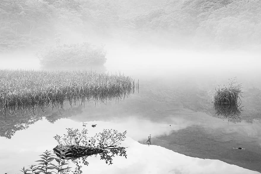 lago, montaña, reflexión, paisaje, niebla de la mañana, bosque de hayas, calina, superficie del agua, ambiente tranquilo, prefectura de yamagata, Japón