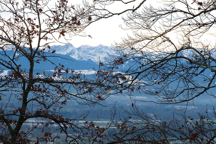 ağaçlar, dağlar, kar, Alpler, kış, panorama, Bavyera