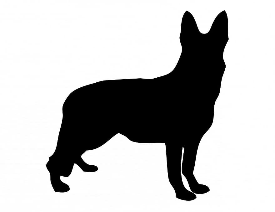 chien, Berger allemand, gsd, alsacien, animal, animal de compagnie, canin, noir, silhouette, contour, forme