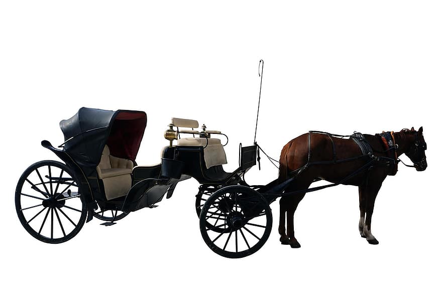 le chariot, transport, cheval, véhicule