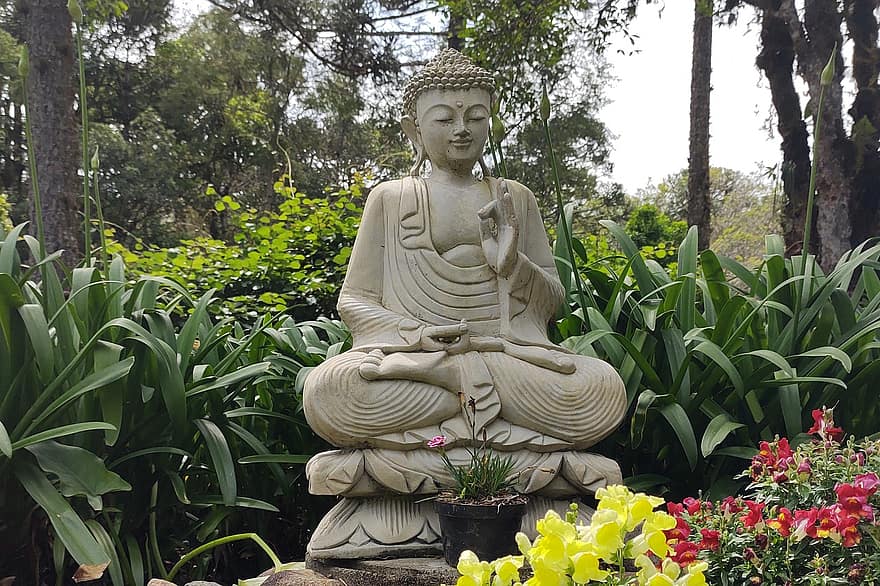 Buda, estatua, jardín, meditación, espiritualidad, budismo, religión, planta, flor, culturas, escultura