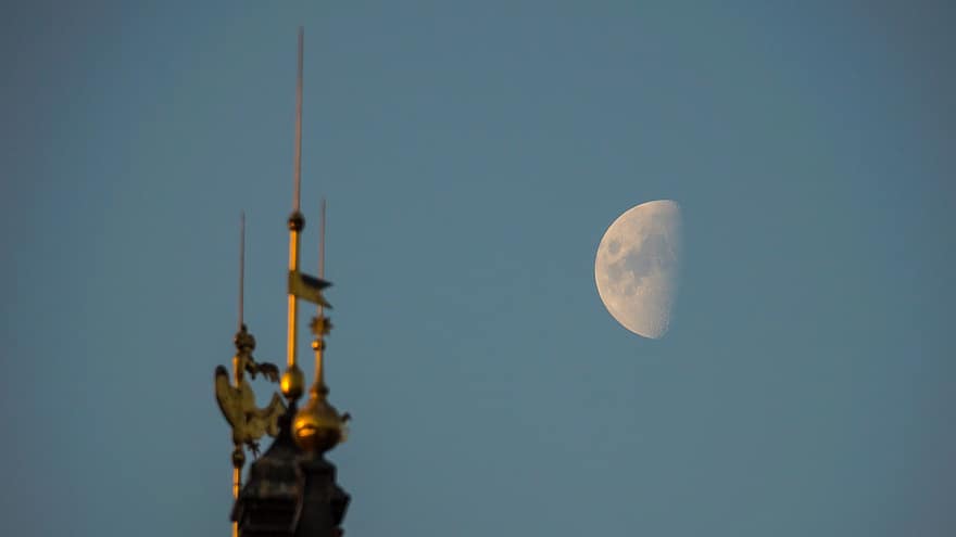 lune, ciel, crépuscule, soir, demi Lune, le coucher du soleil, Château de Pillnitz, Château, palais, Allemagne, paysage