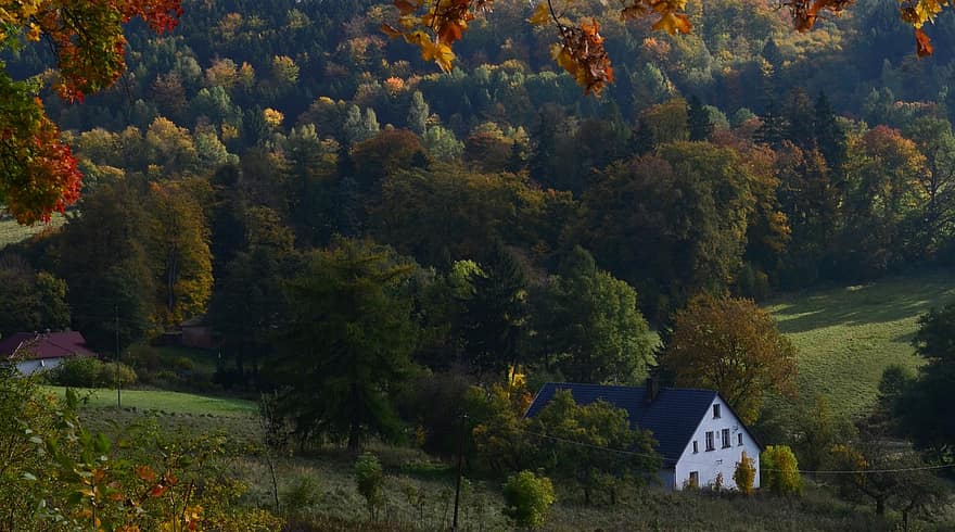 есен, къща, природа, околност, селски, падане