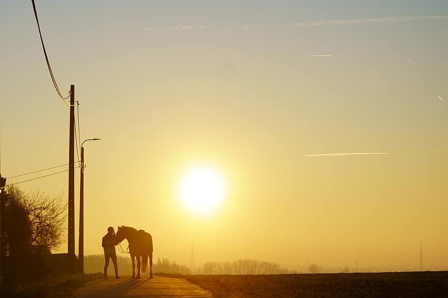 cal, călăreț, soare, apus de soare, om, cabalin, animal, mamifer, natură, peisaj, lumina soarelui