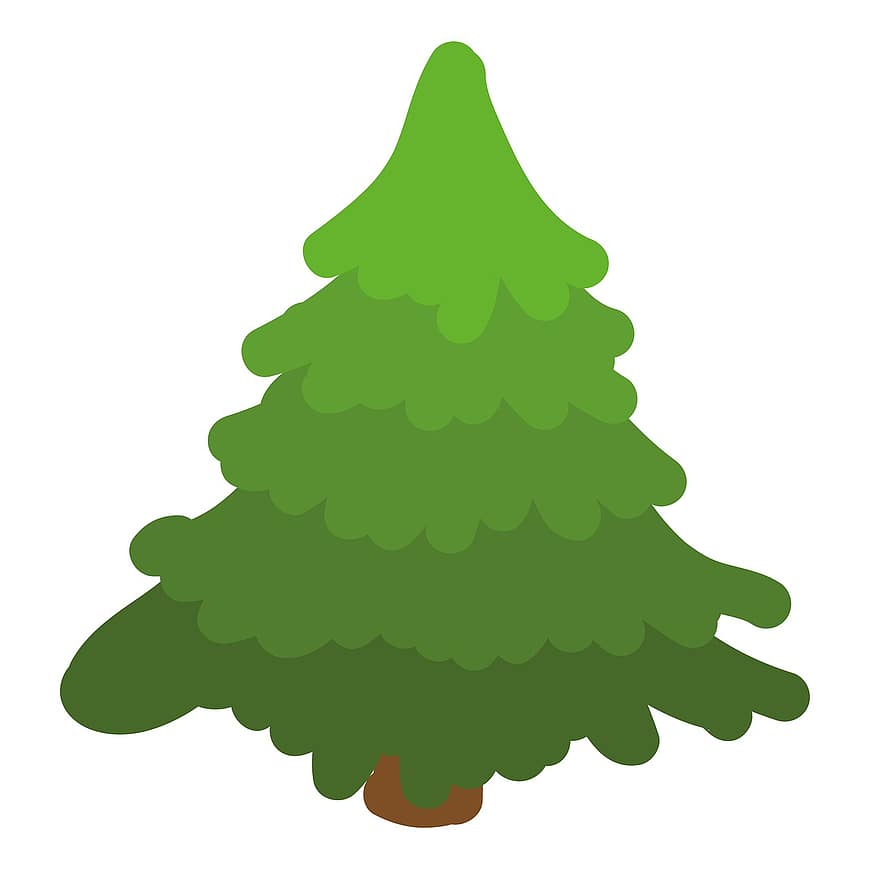 pohon cemara, pohon Natal, pohon, konifer, rahang