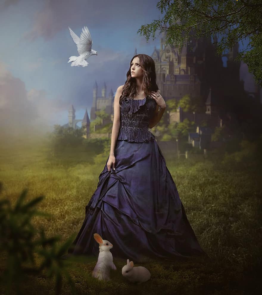 фантазія, жінка, сукня, птах, голуб, кролик, поле, замок, туман, світло