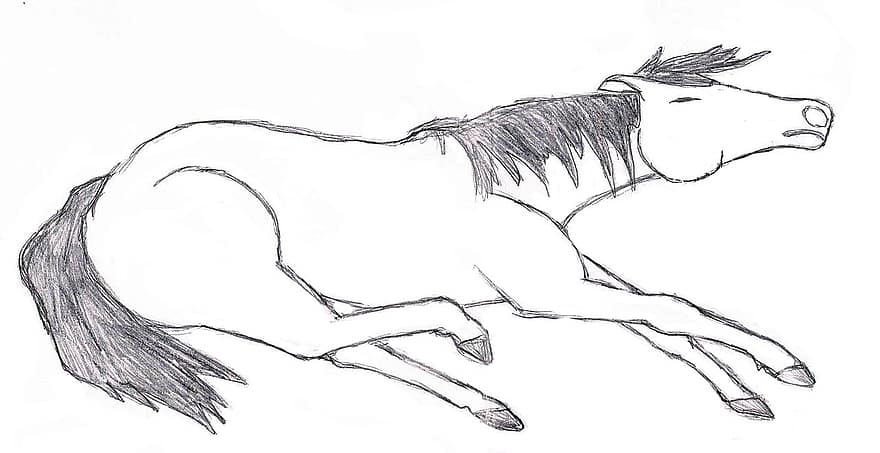 pittura, disegno, cavallo, pony, sofferenza, morto, crudeltà verso gli animali, non, fame, paura, freddo