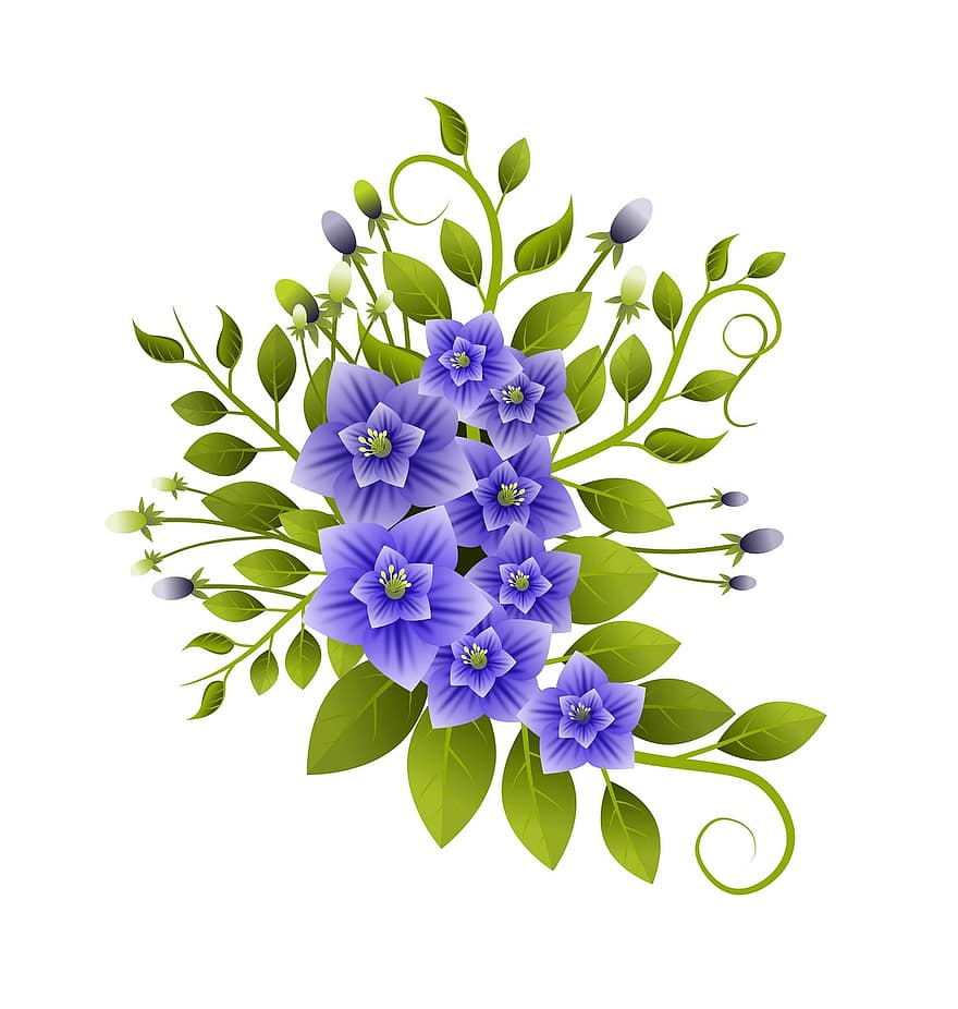 blomster, illustration, buket, blomstrende, planter, natur, naturlig, friskhed, grøn, lilla, blade
