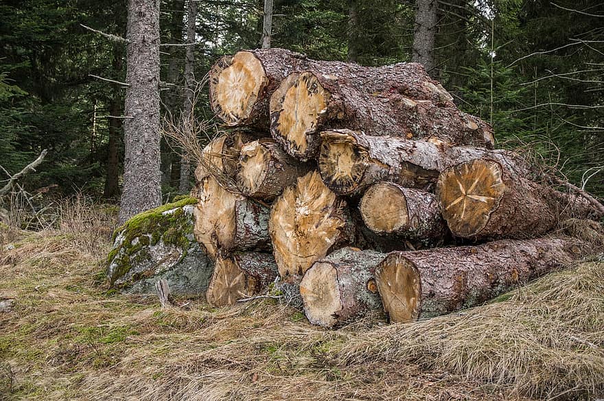 troncs, bosc, fusta, calefacció