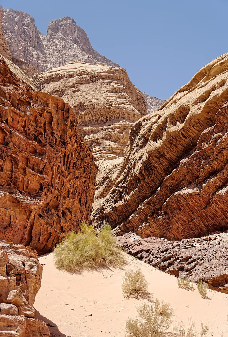 roccia, montagne, deserto, paesaggio, natura, viaggio, Oriente, canyon, sabbia, pianta, Giordania