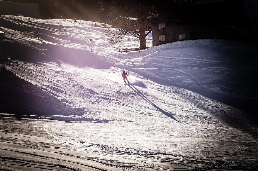 åka skidor, skidbacke, vinter-, vintersporter, snö, sporter