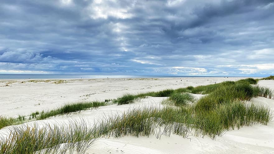 Marram Grass, Ammophila, Seaside, Beach, Clouds, Nature