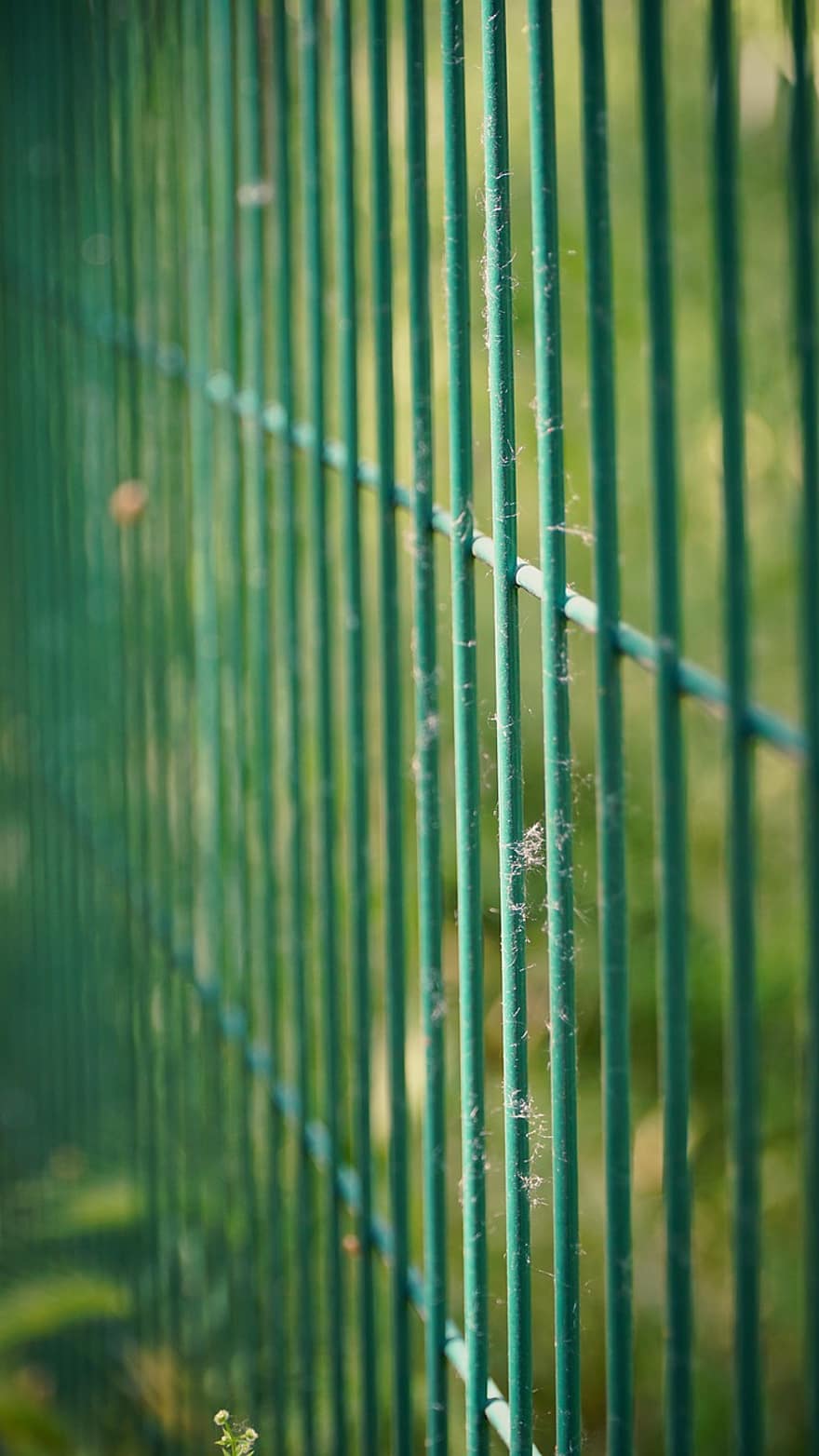 желязна ограда, слънчев лъч