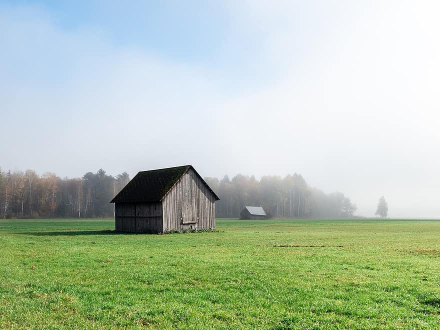 capanna, campo, nebbia, Liezen, Austria, campagna, paesaggio, all'aperto, rurale, erba, scena rurale
