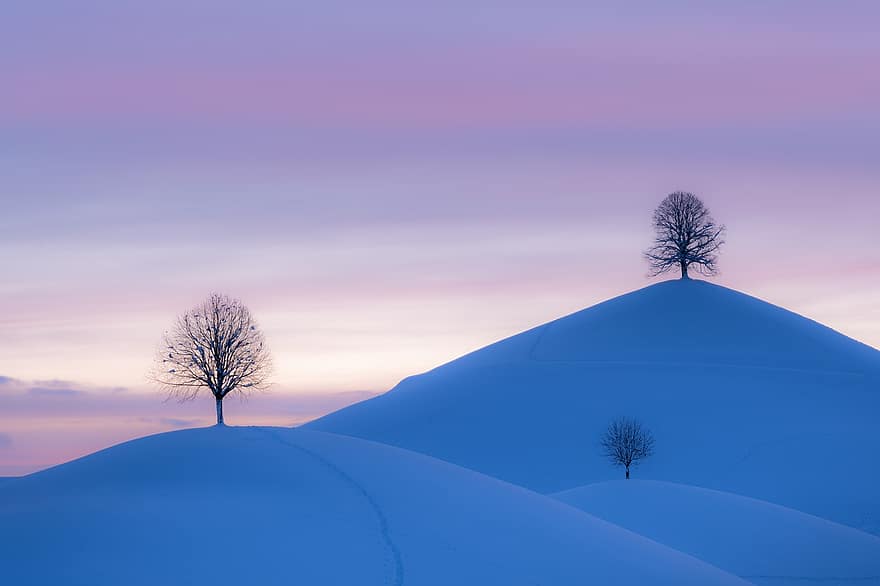 Hügel, Winter, Sonnenuntergang, Schnee, Bäume, Frost, winterlich, kalt, Schneelandschaft, Landschaft, szenisch