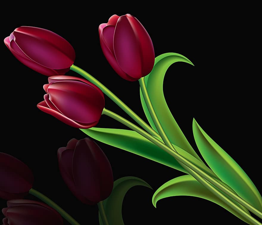 tulipán, flor, planta, naturaleza, hoja, las flores, tulipanes morados, romántico